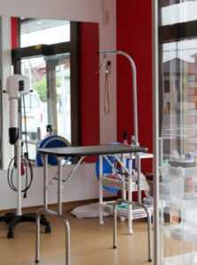 ガラス張りのトリミングルーム