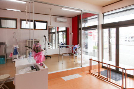 ワンちゃんがリラックスできる明るく広々とした店内。